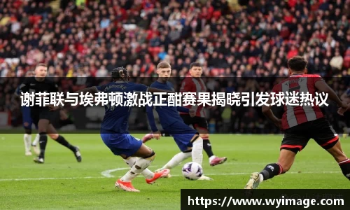 谢菲联与埃弗顿激战正酣赛果揭晓引发球迷热议